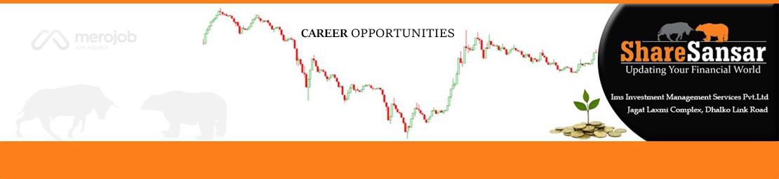 Financial Content Writer