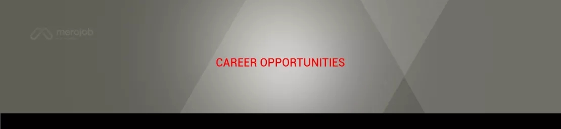 Technical Support Officer