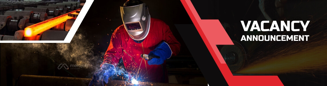 Auto Mechanical Engineer