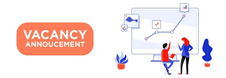 Senior Django Developer