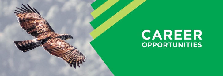 Field Officer