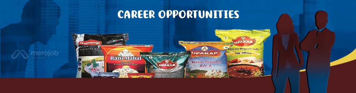 Accountant Assistant