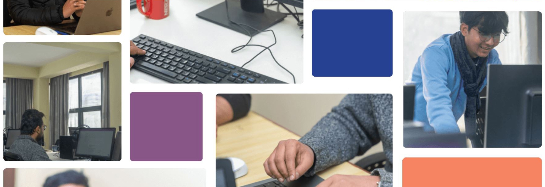 Web Developer