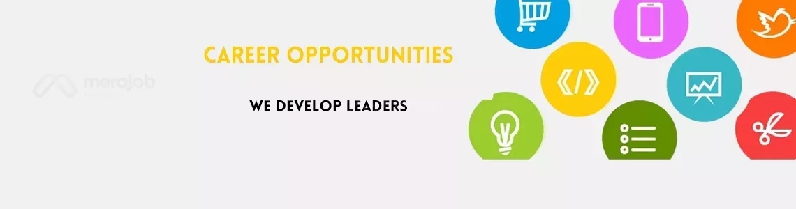 Senior DevOps Engineer