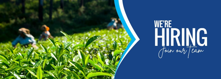 Marketing Manager – International Tea Sales and Coordination