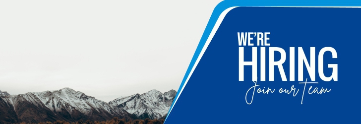 Sales Manager