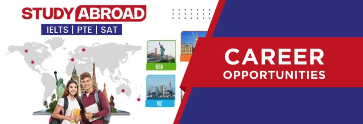 IELTS / PTE Instructor