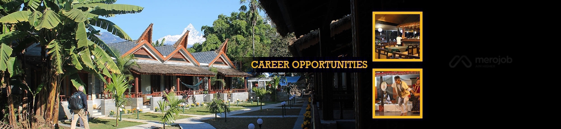 Sales & Marketing Executive