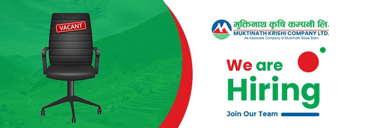 Sales & Marketing (Assistant/ Officer)