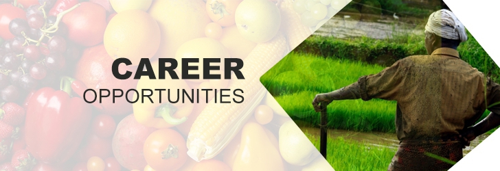 Sr. Officer to Assistant Manager- Accounts