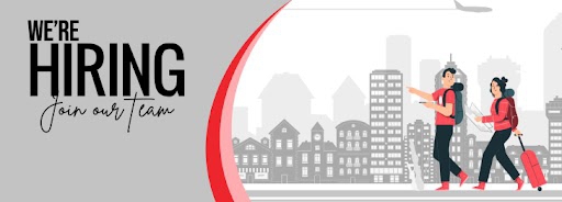 Sales Consultant