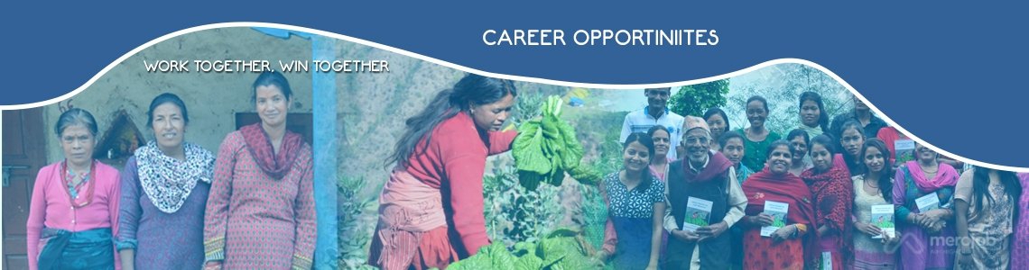 Data Collector Officer