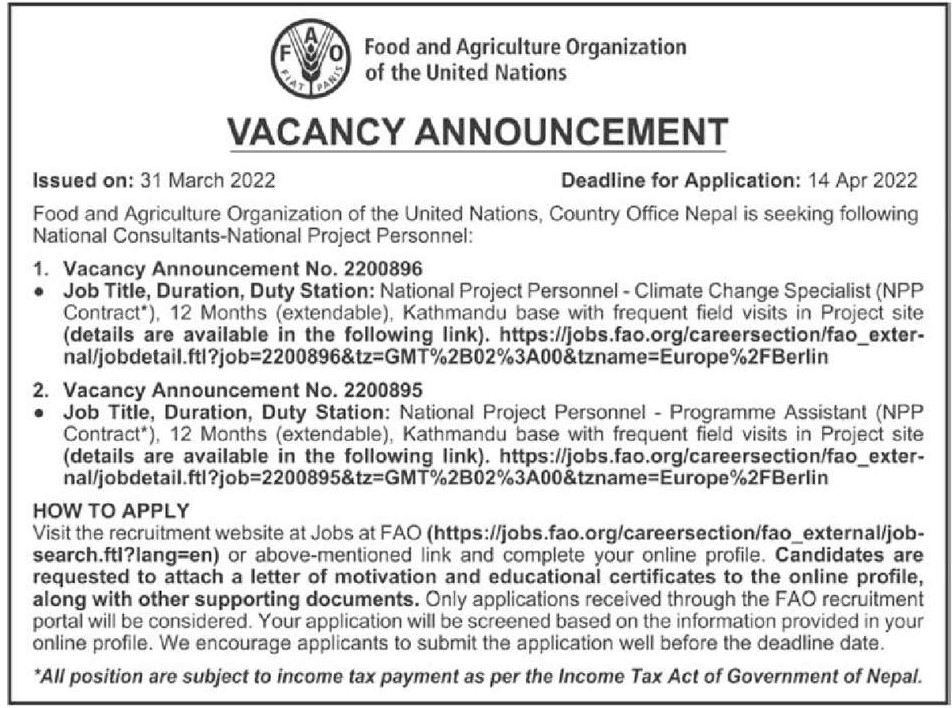 national-project-personnel-programme-assistant-job-vacancy-in-nepal