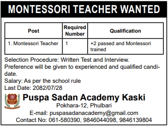 Montessori Teacher