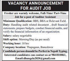 Auditor Assitant