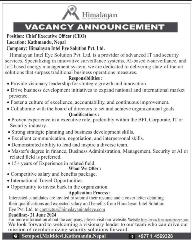 Chief Executive Officer (CEO)