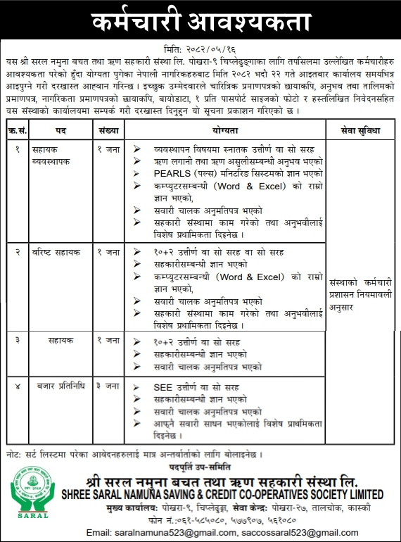 Senior Assistant