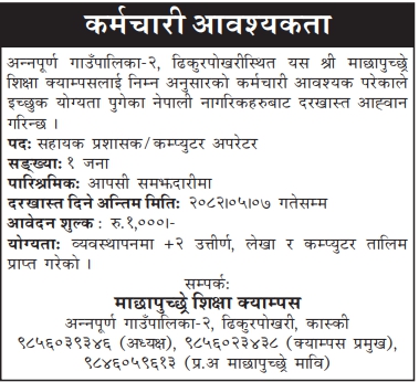 assistant administrator