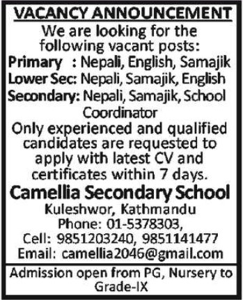 Primary Teacher