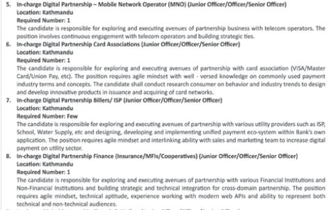 In-charge Digital Partnership Billers / ISP (Junior Officer/Officer/Senior Officer) (Few)