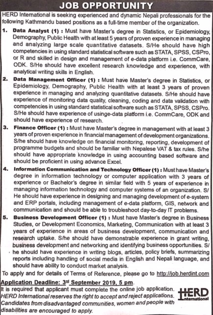 Data Analyst