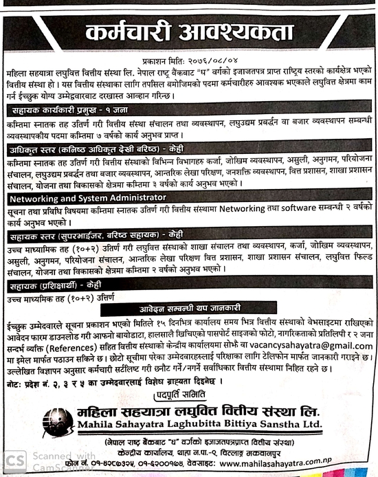 सहायक कार्यकारी प्रमुख