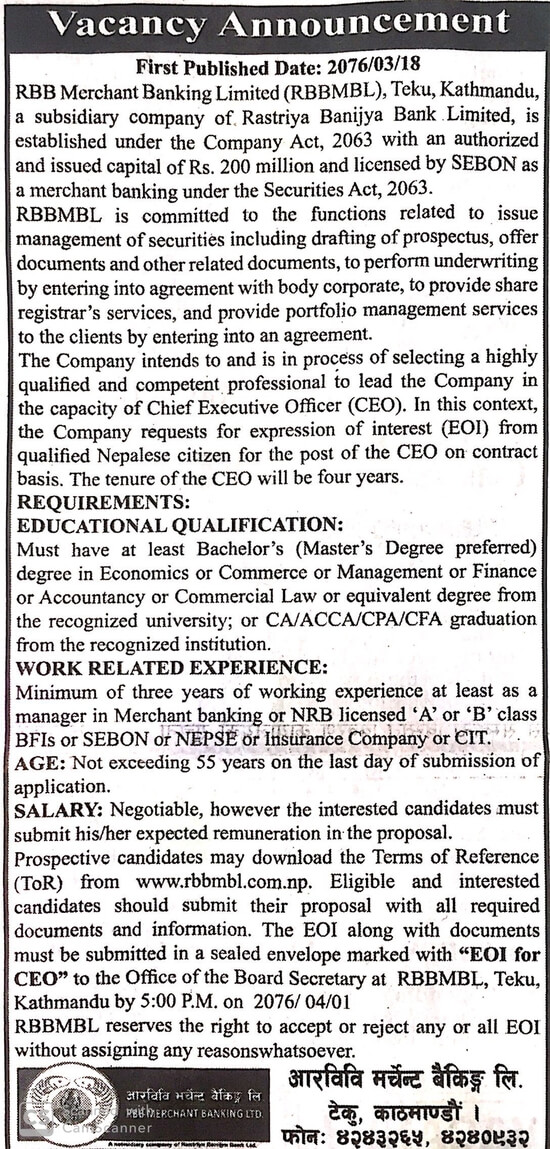 Chief Executive Officer (CEO)