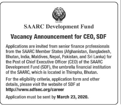 Chief Executive Officer (CEO), SDF