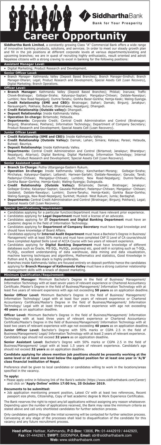 Senior Assistant Level