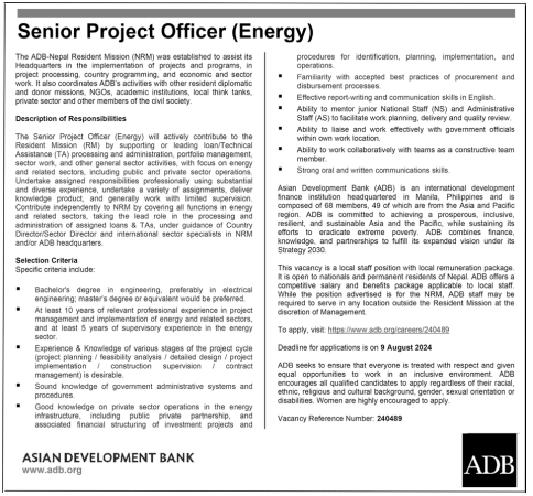 Senior Project Officer