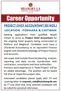 Project Chief Accountant