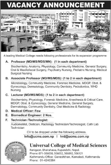 Biomedical Engineer