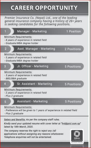 Sr.Assistant - Marketing