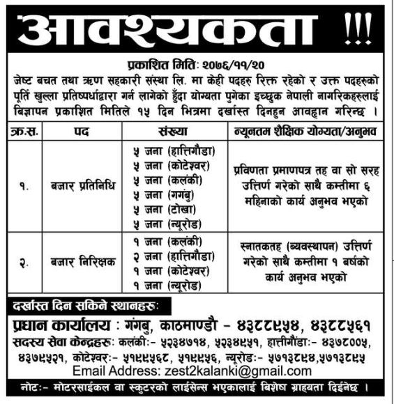 बजार प्रतिनिधि (Marketing Representative)