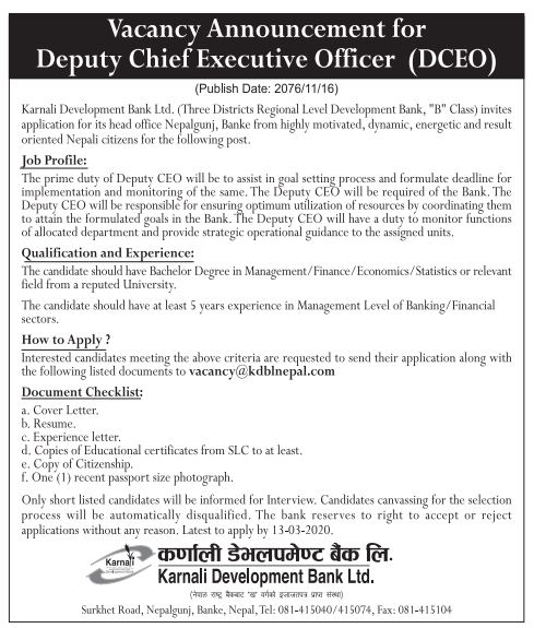 Deputy Chief Executive Officer (DCEO)