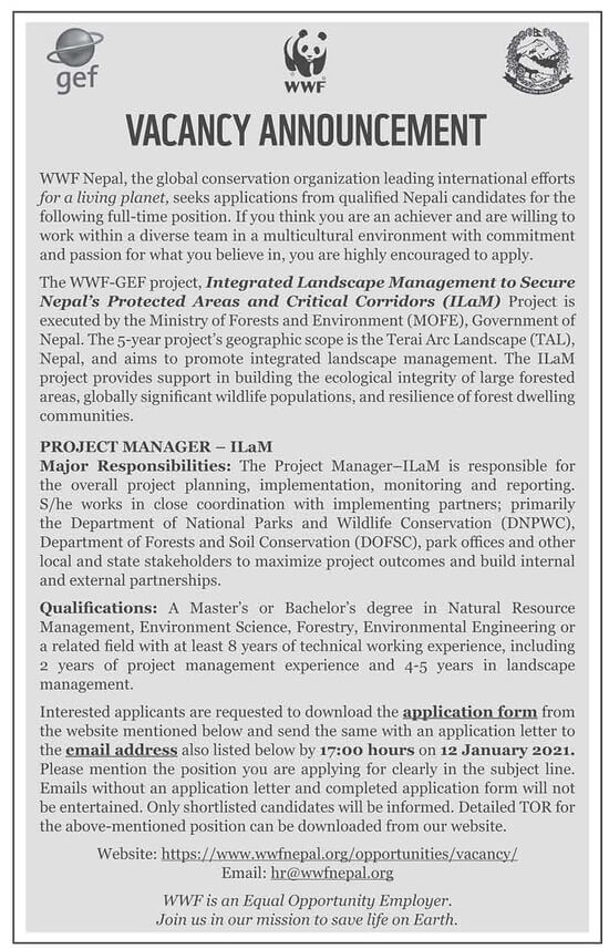 Project Manager