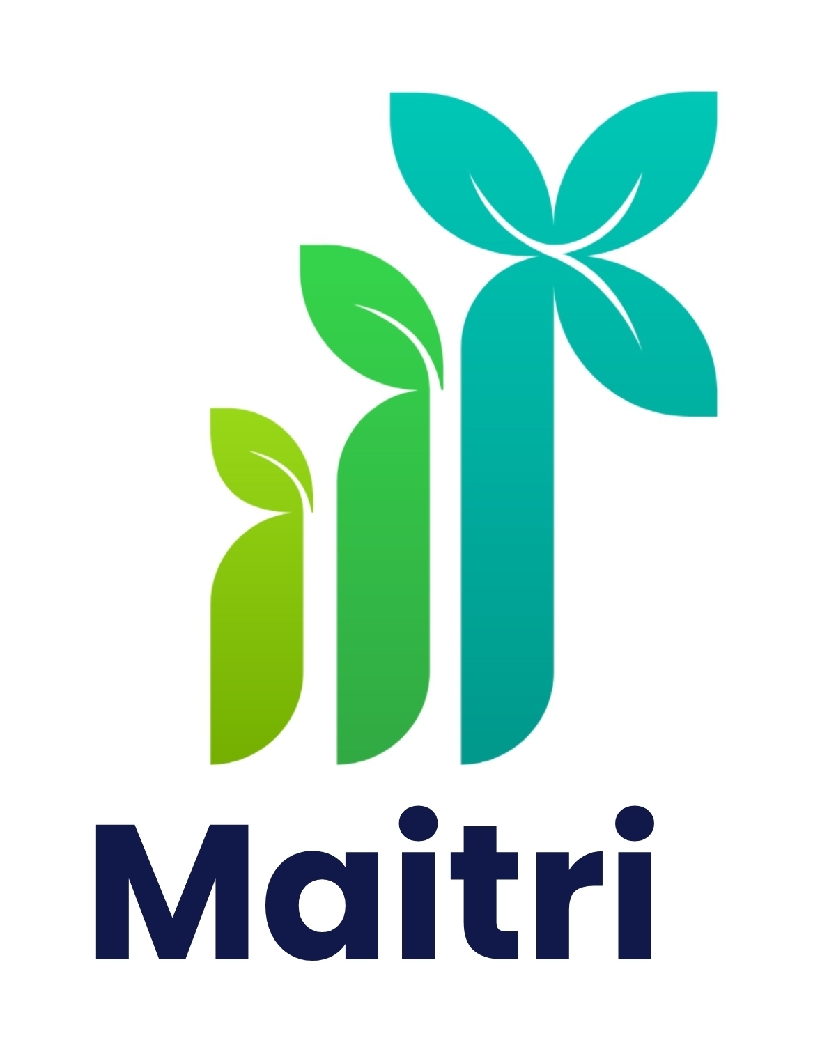 Maitri Holdings Services