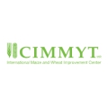 CIMMYT International (International Maize & Wheat Improvement Center)