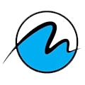 IT Company