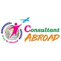 Consultant Abroad Education