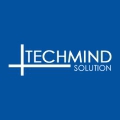 Techmind Solution
