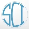 Shah Consult International