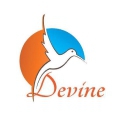 Devine Group