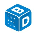 Bluedice Digital Marketing Agency