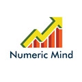 Numeric Mind Pvt Ltd