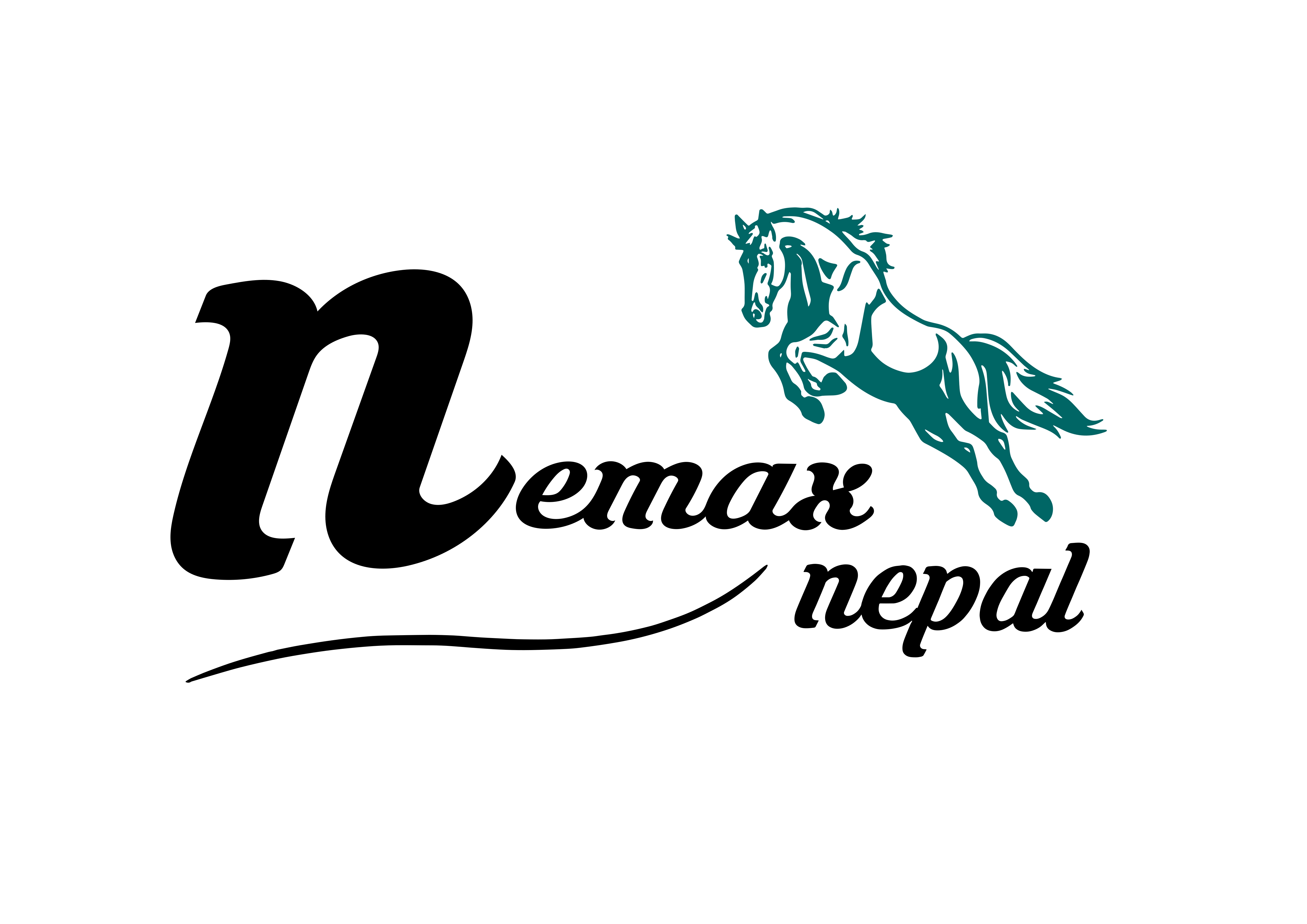 nemaxnepal industries pvt Ltd