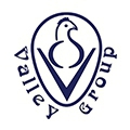Valley Group