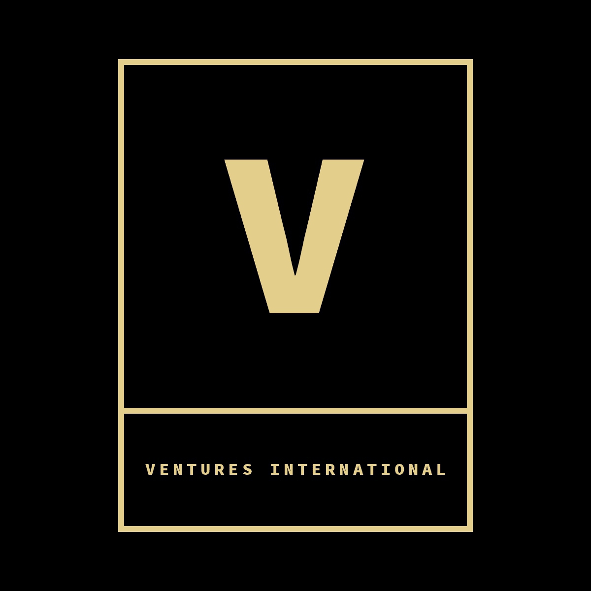Ventures International