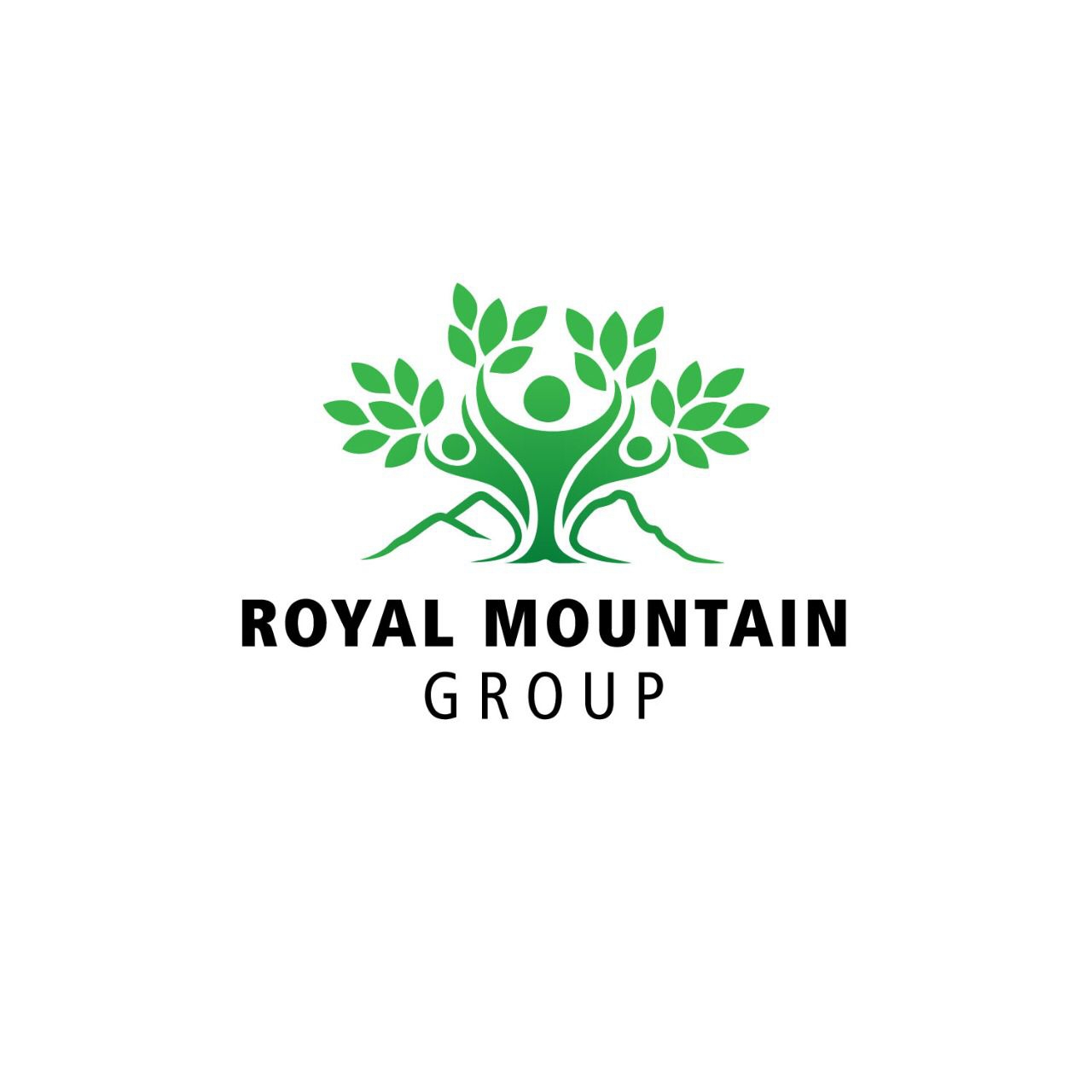 Royal Mountain Group