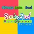 Spring Bud Montessori School